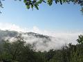 pieve 214